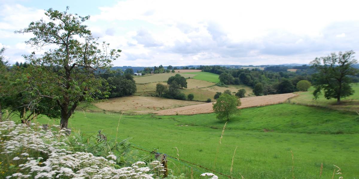 paysages prés bosquets bois  la D14 entre Eymoutiers et Bujaleuf