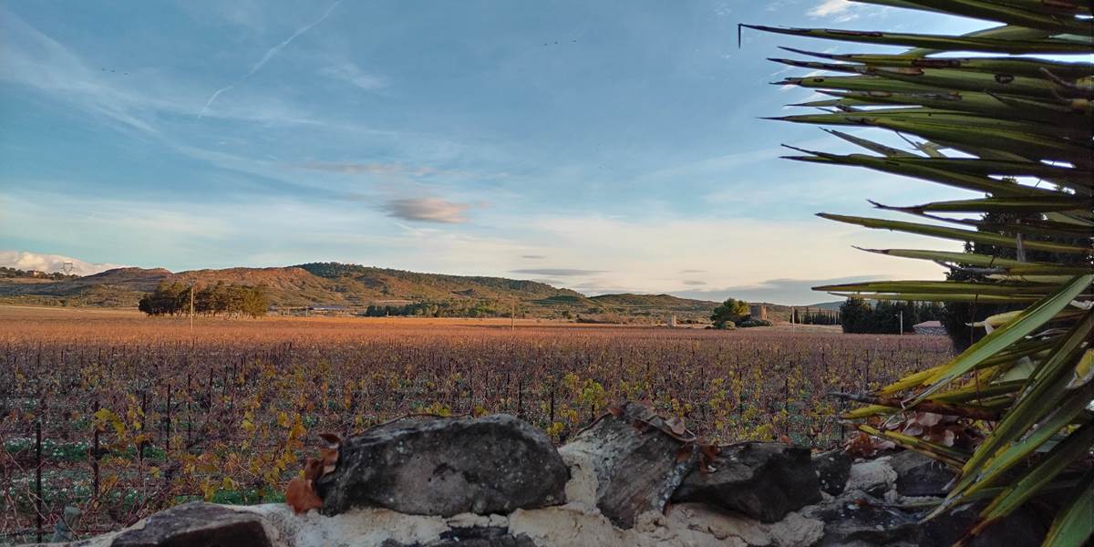 Admirer la nature à le Coq du Nord-Mailhac