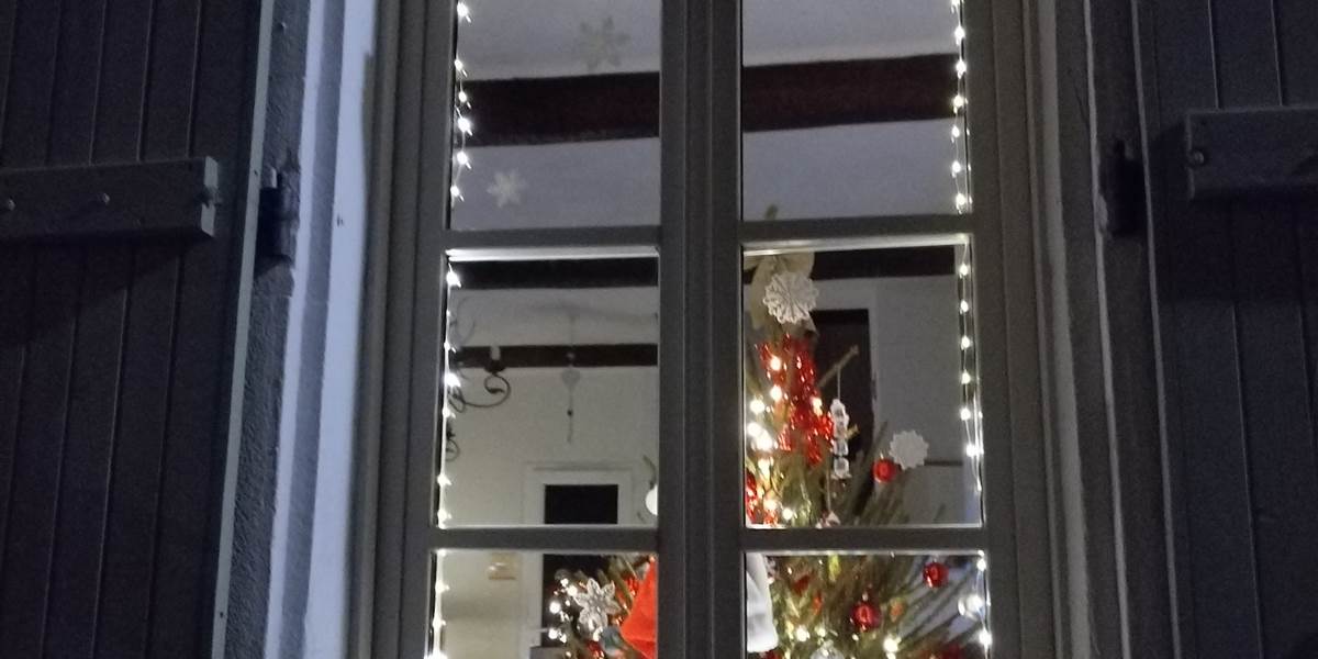 Magie de Noël à Le Coq du Nord-Mailhac 🌲🌲🌲