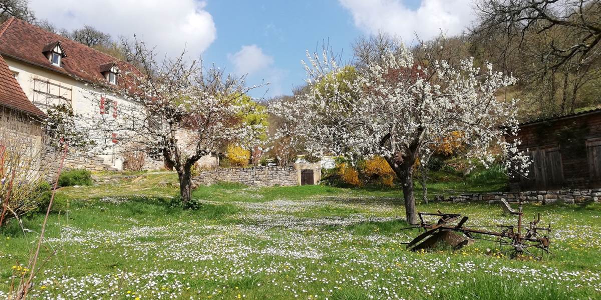 Jardin en fleur grand gite Espagnac Ste Eulalie