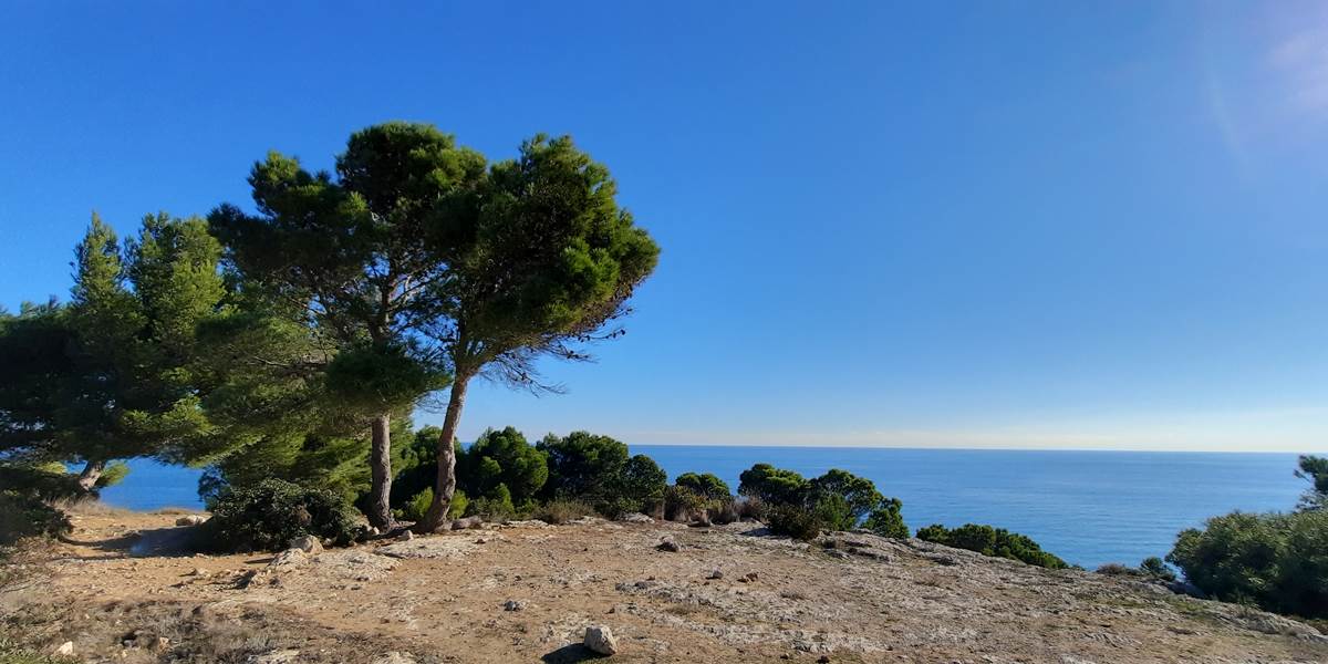 des vacances sous un beau ciel bleu