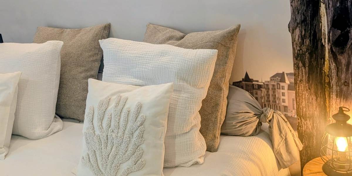 le sillon9