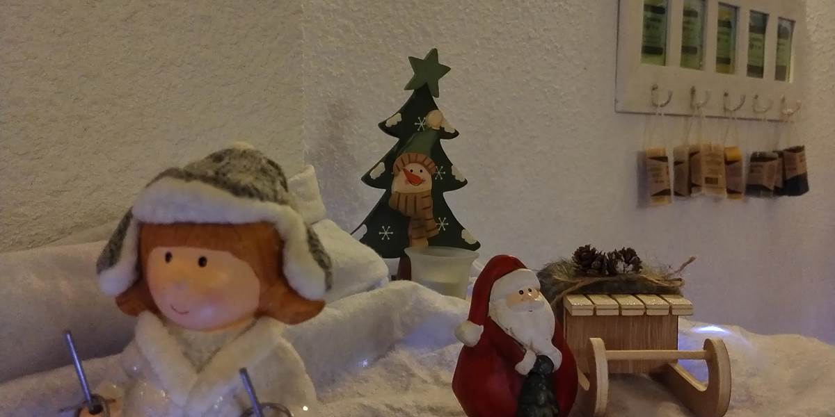 Magie de Noël à Le Coq du Nord-Mailhac 🌲🌲🌲
