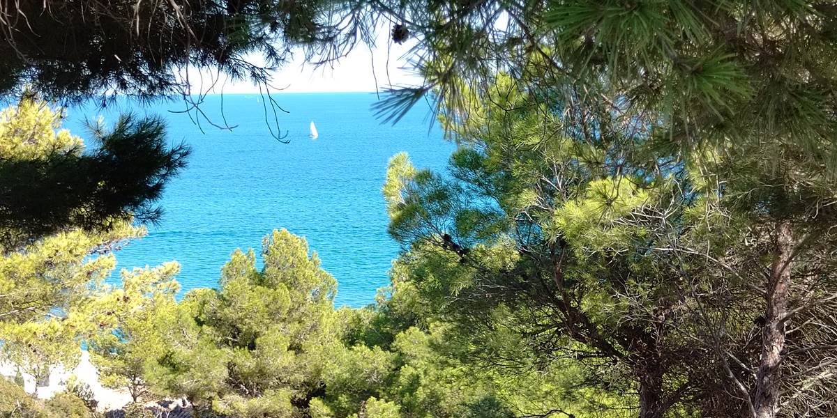 Falaise de Leucate