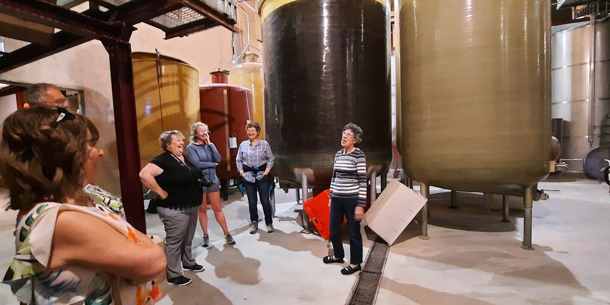 Visite du Domaine Pierre Fil