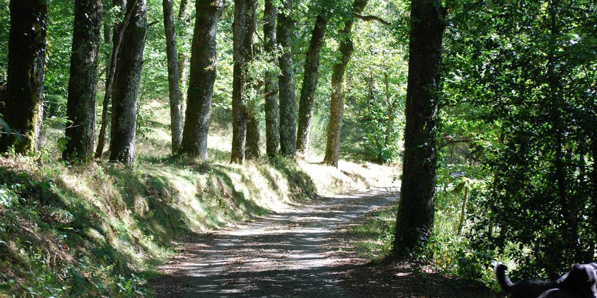 partons en balade sur le chemin des Fantaisies au ranch des Lacs