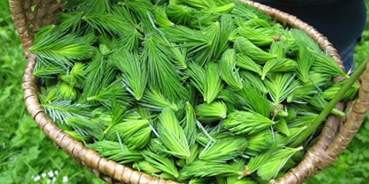 panier epicea
