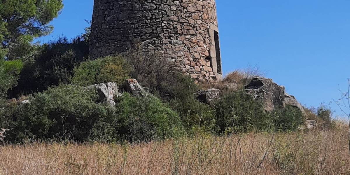 Vestiges de Mailhac
