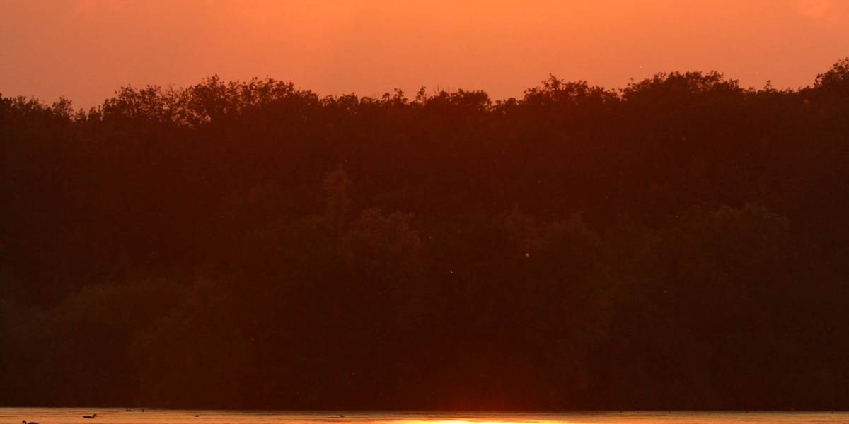crépuscule sauvage