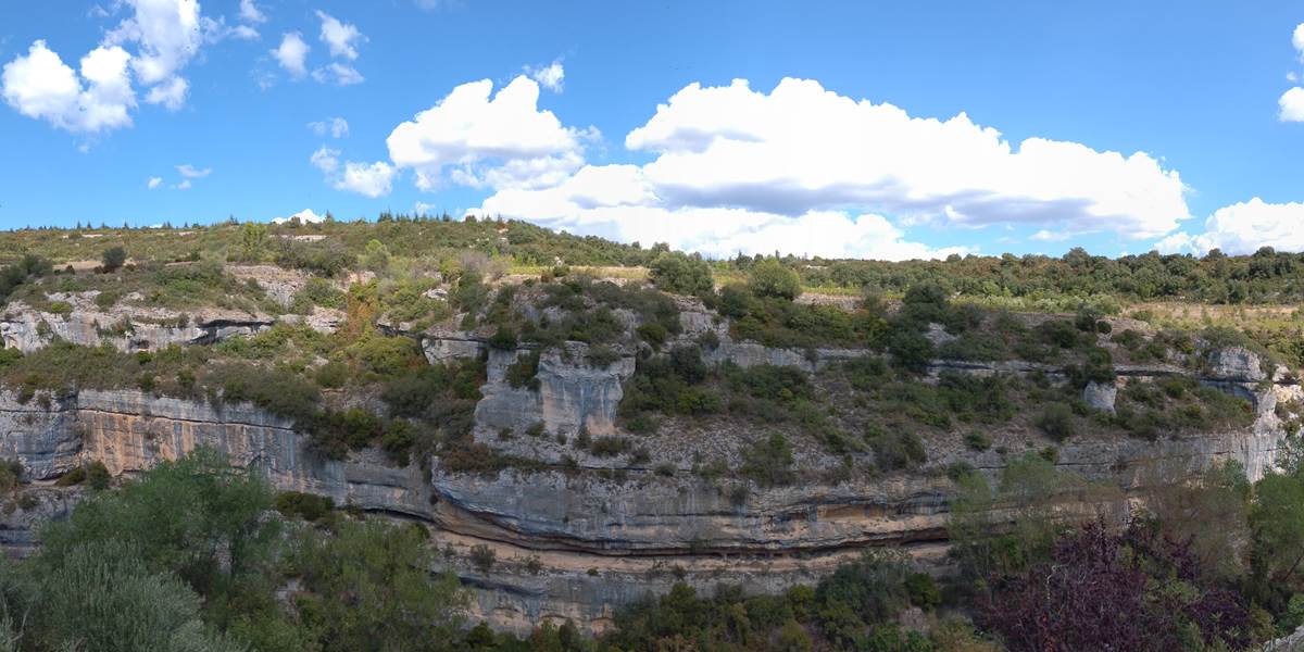 Minerve