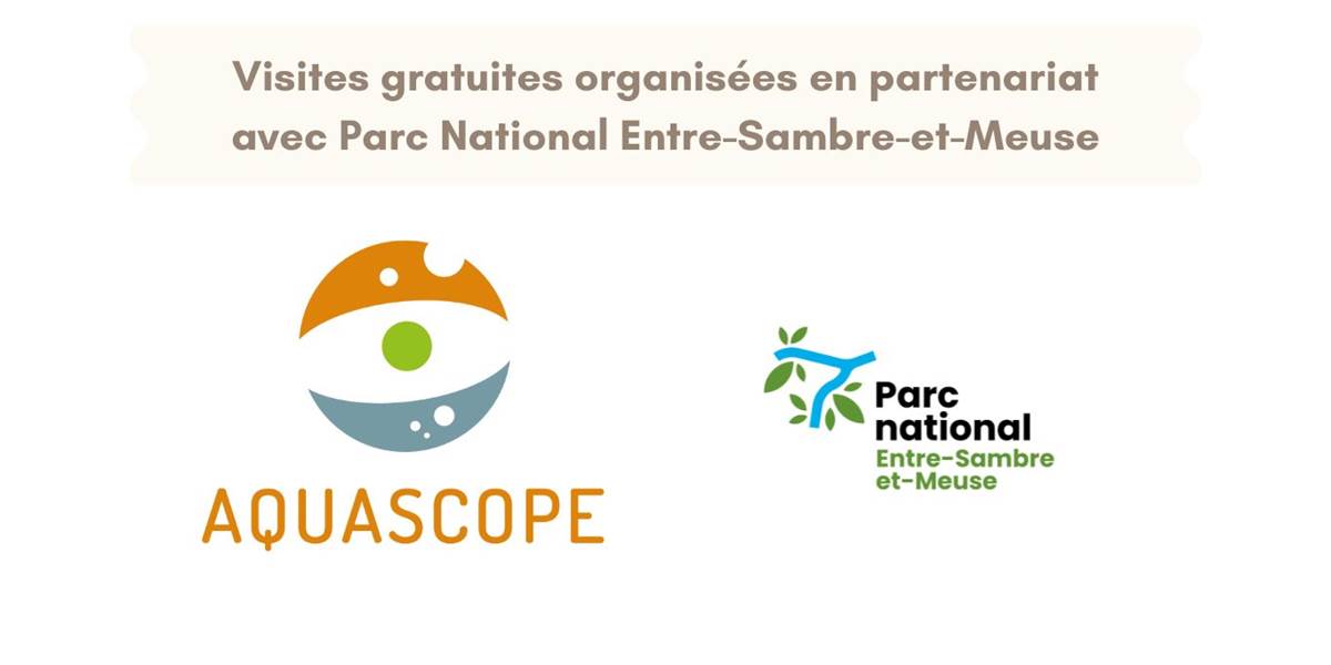 Montage visites PN ESEM
