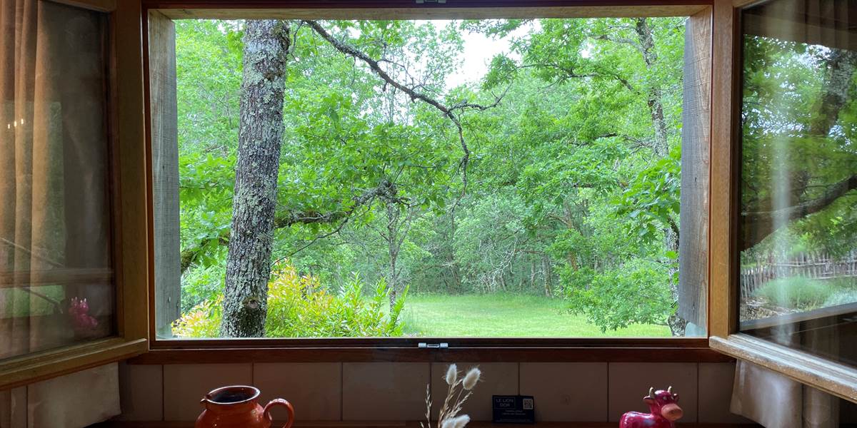 Vue depuis la table - Cabane MELEZE