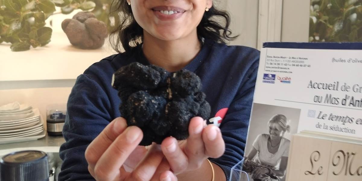 Truffes pour la table d'hôtes de Le Coq du Nord Mailhac