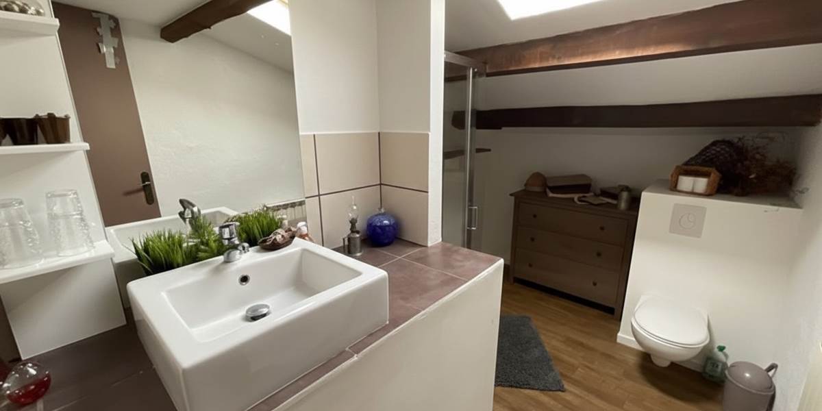 ombrebleuedufiguier-chambre-châtaigne-salle de bains