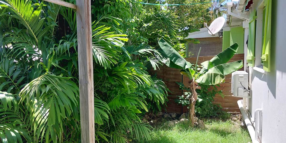 Le Flamboyant jardin