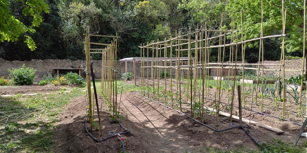 Le potager