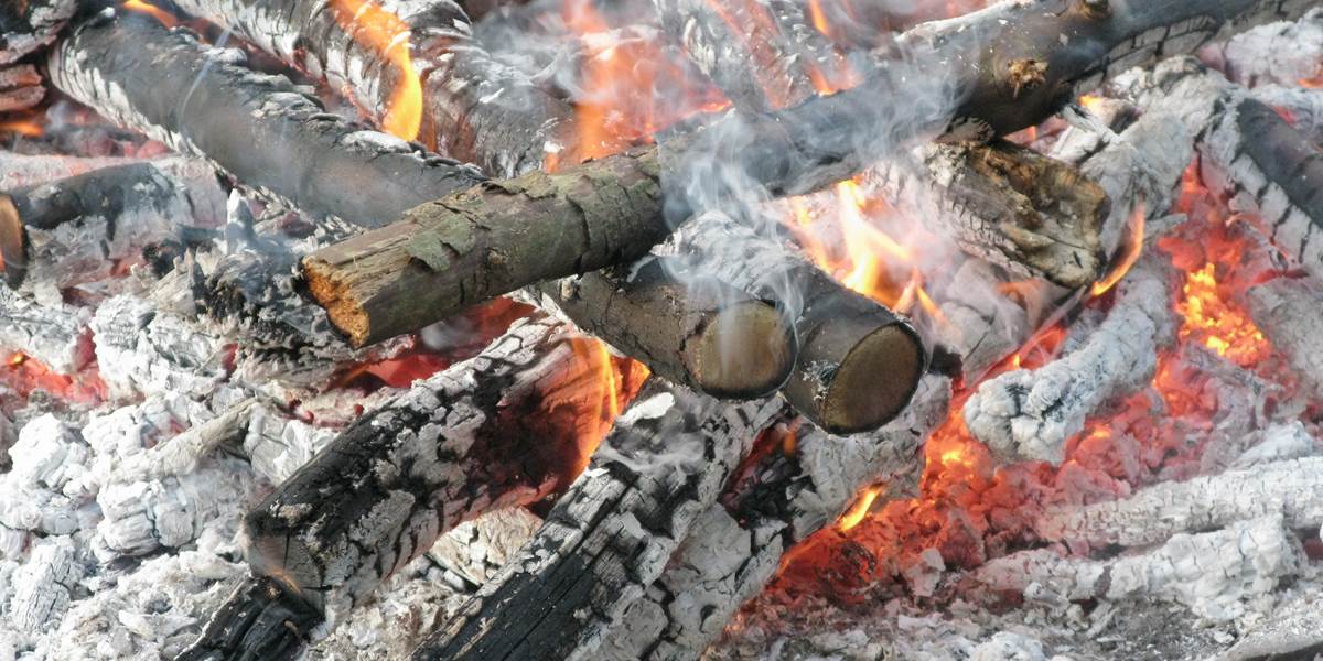 feu primitif 4