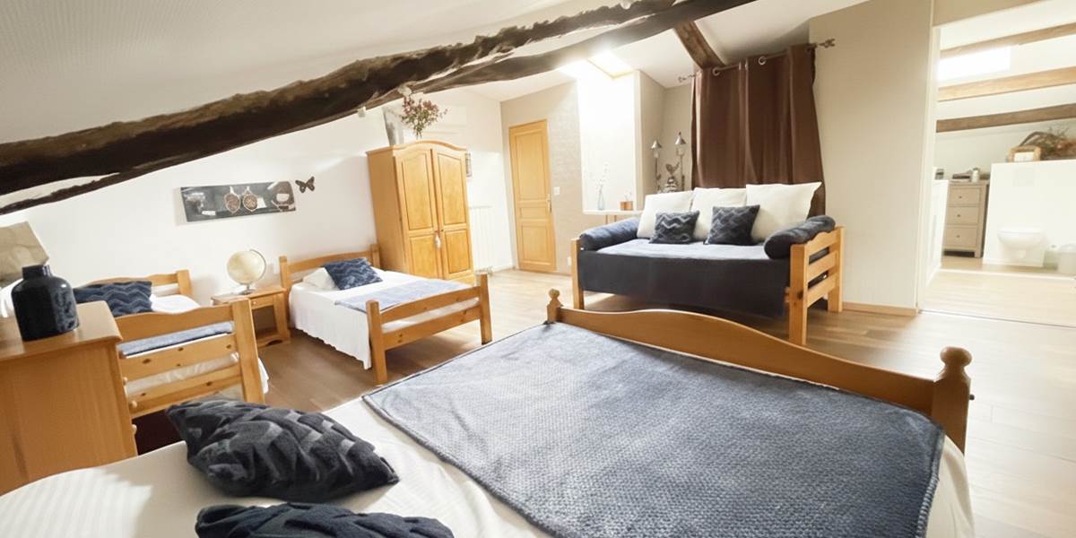 ombrebleuedufigfuier-chambre-châtaigne 3