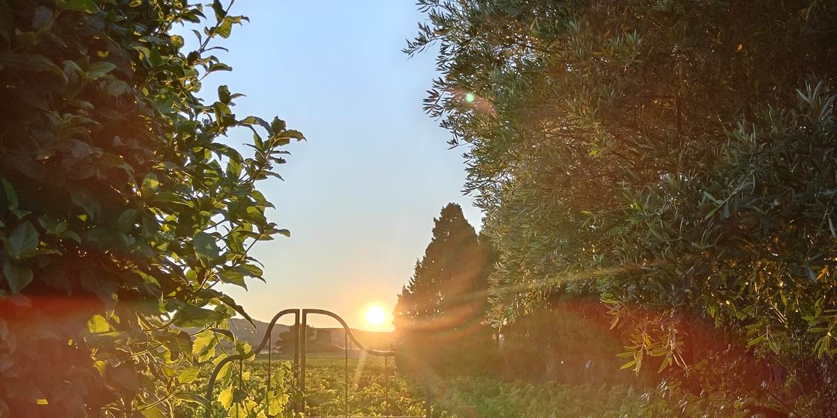 Les sublimes lever de soleil