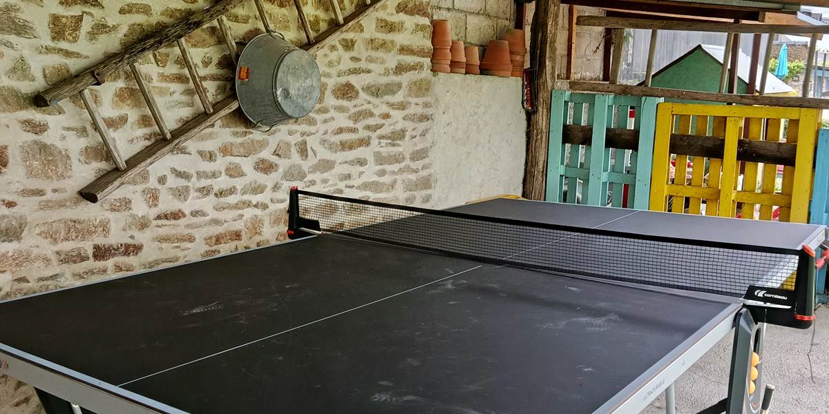 Table de ping-pong