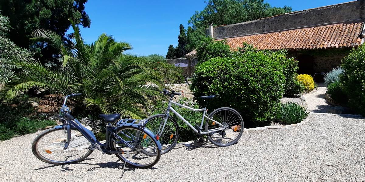 Partez à vélo le long du Canal du Midi