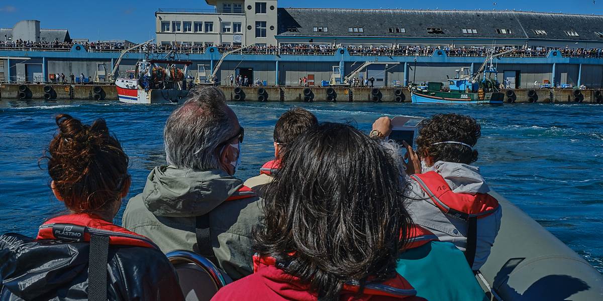 Assister au retour des chalutiers depuis la mer