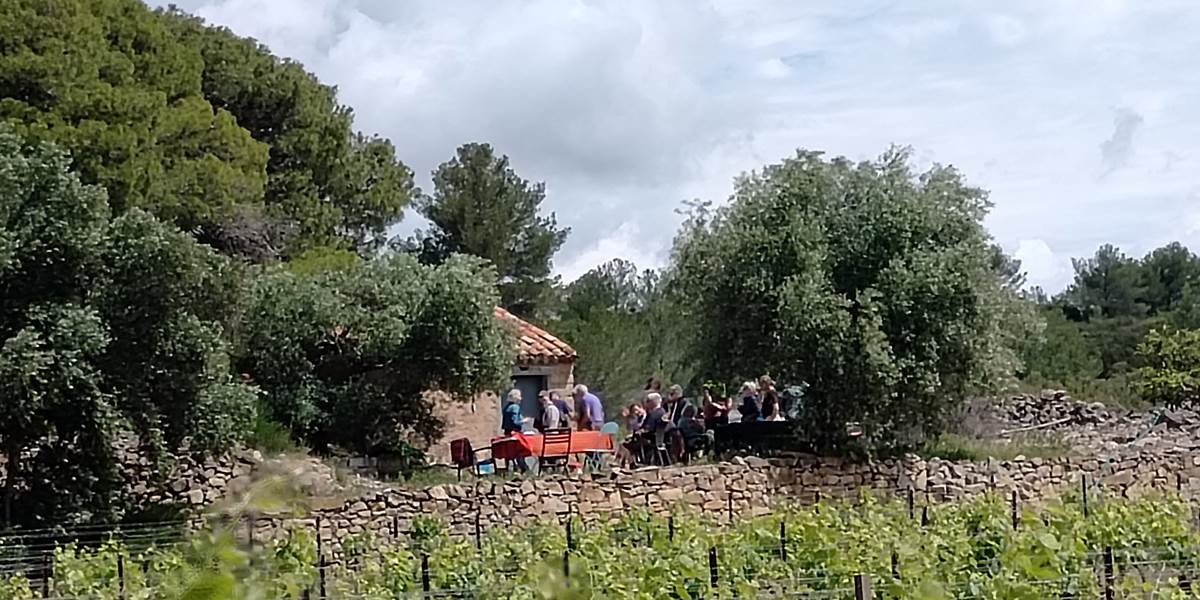 Dégustation au coeur des vignes du Domaine La Tasque