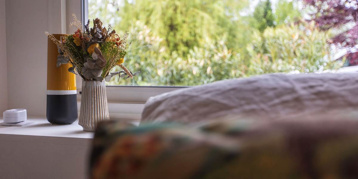 Profitez du confort et de l'esprit zen  d'une grande chambre