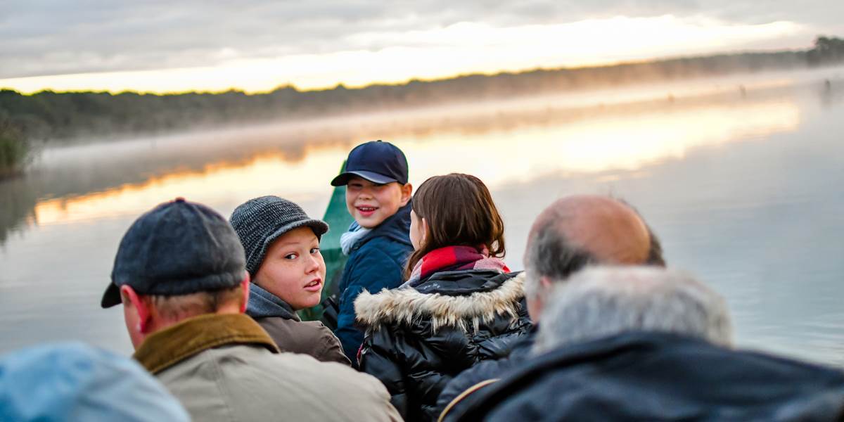 Aube sauvage famille