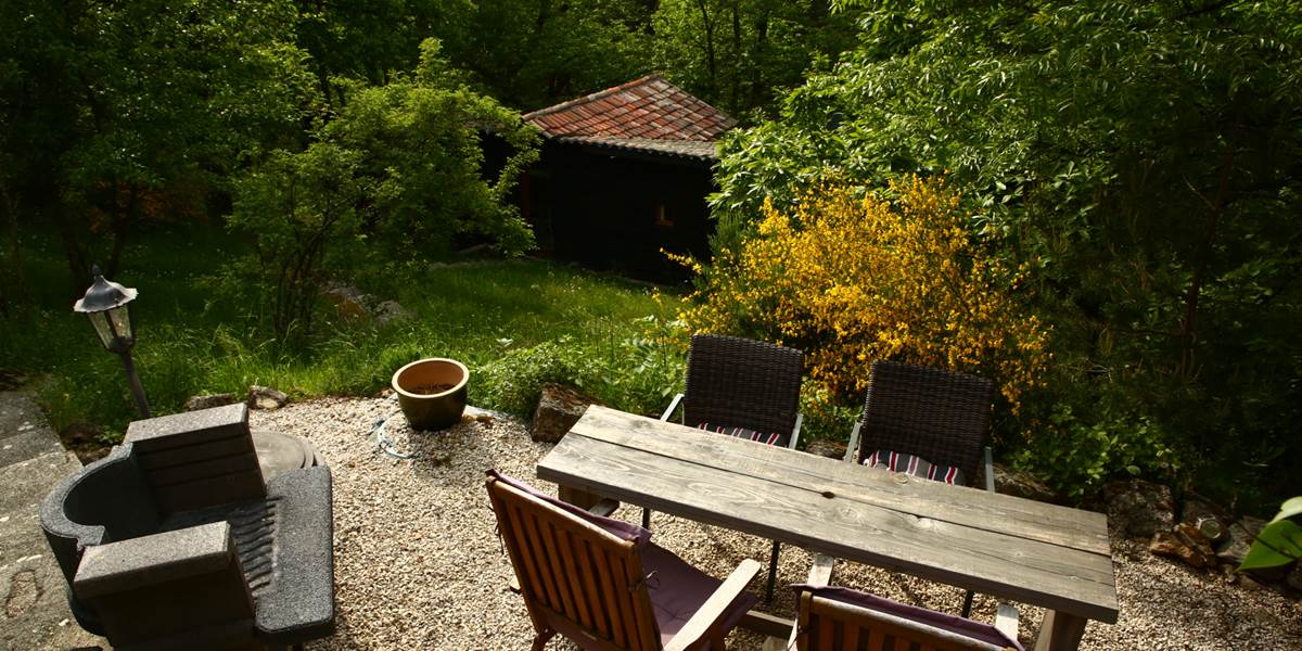 Canopée - terrasse