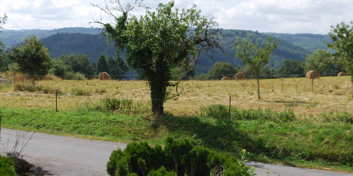 saison des foins, paysage campagnard, vue devant Le Ranch des Lacs