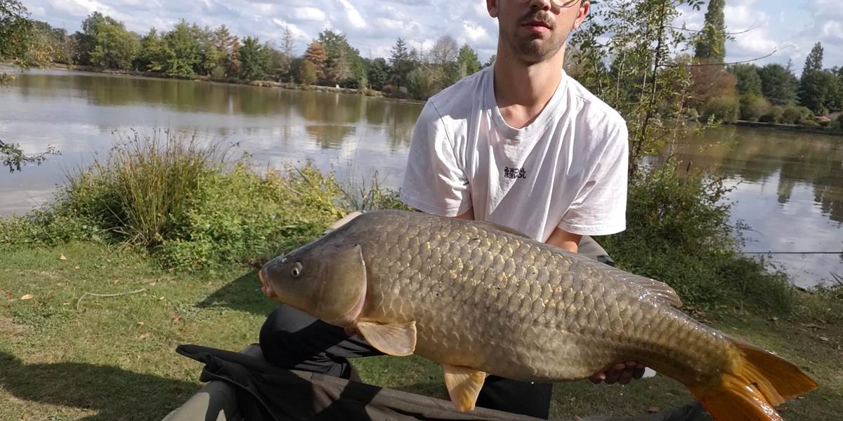 14.7kg