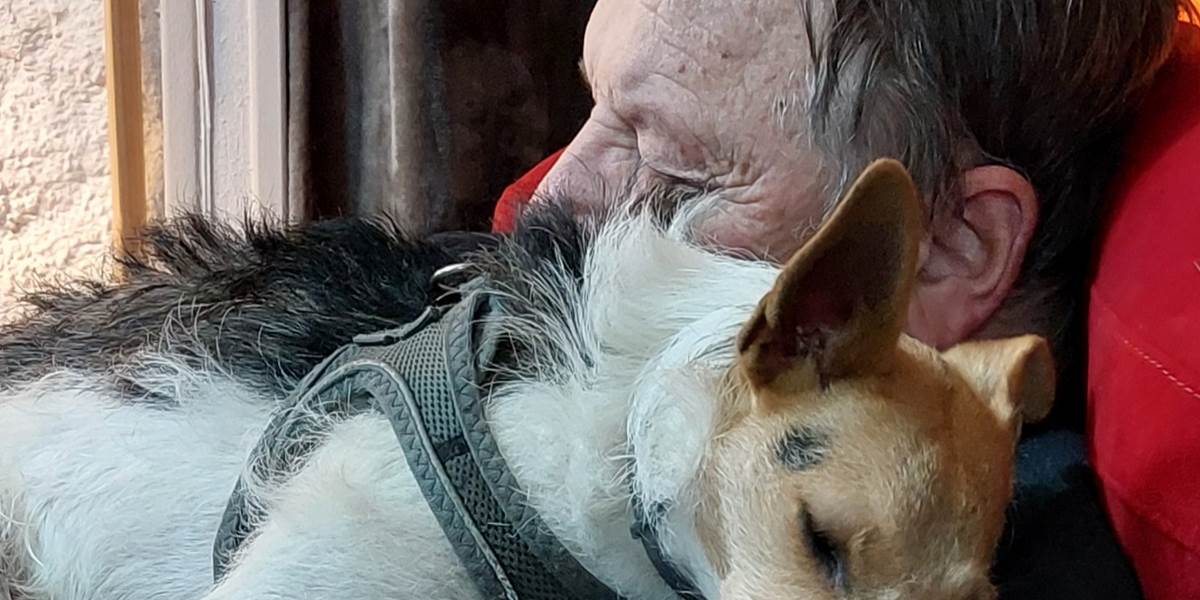 Pet-Friendly au Ranch des Lacs, Jules et Yummy