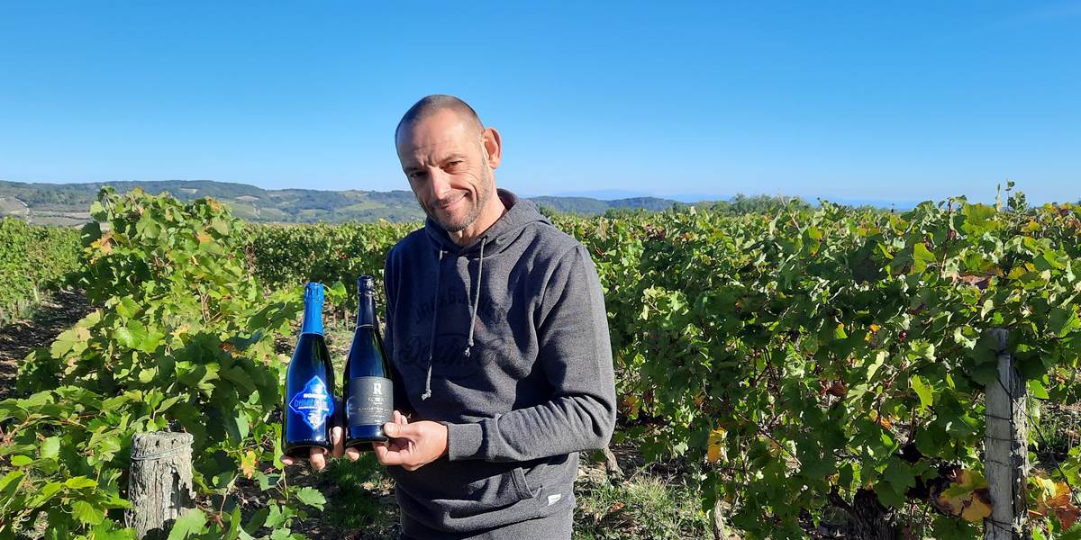 Les bulles pour la table d'hôtes des fêtes de fin d'année à Le Coq du Nord-Mailhac