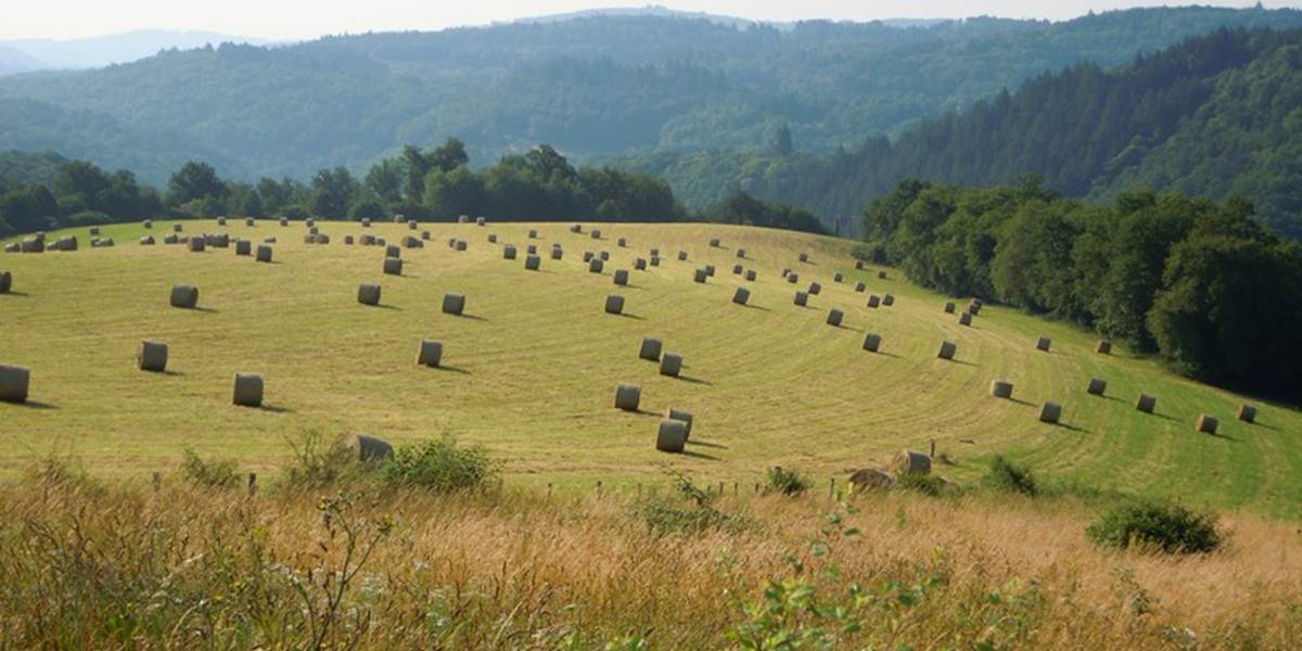 notre belle campagne, vue devant le Ranch des Lacs en été