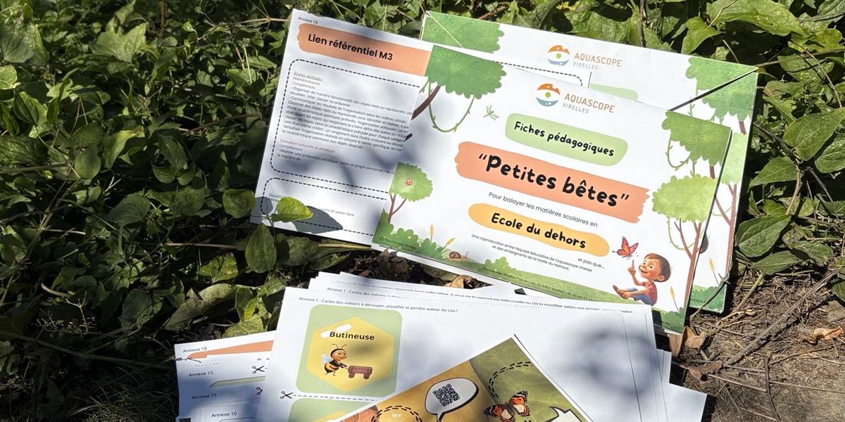 Carnet découverte