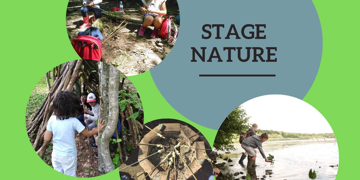 Stage nature à l'Aquascope Virelles