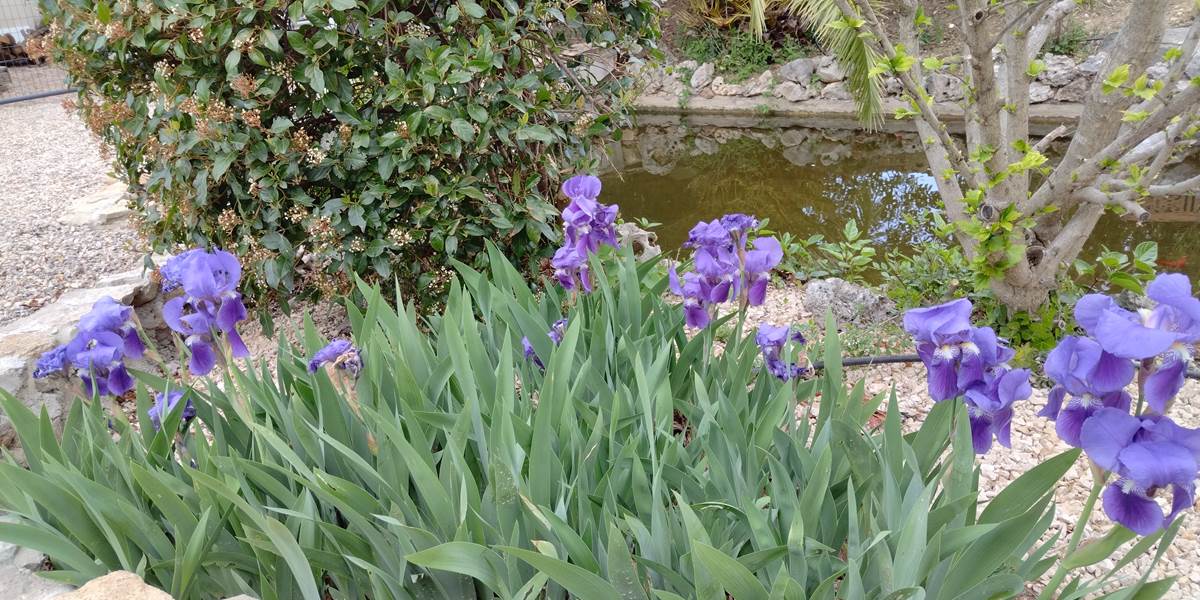 Le printemps est de retour