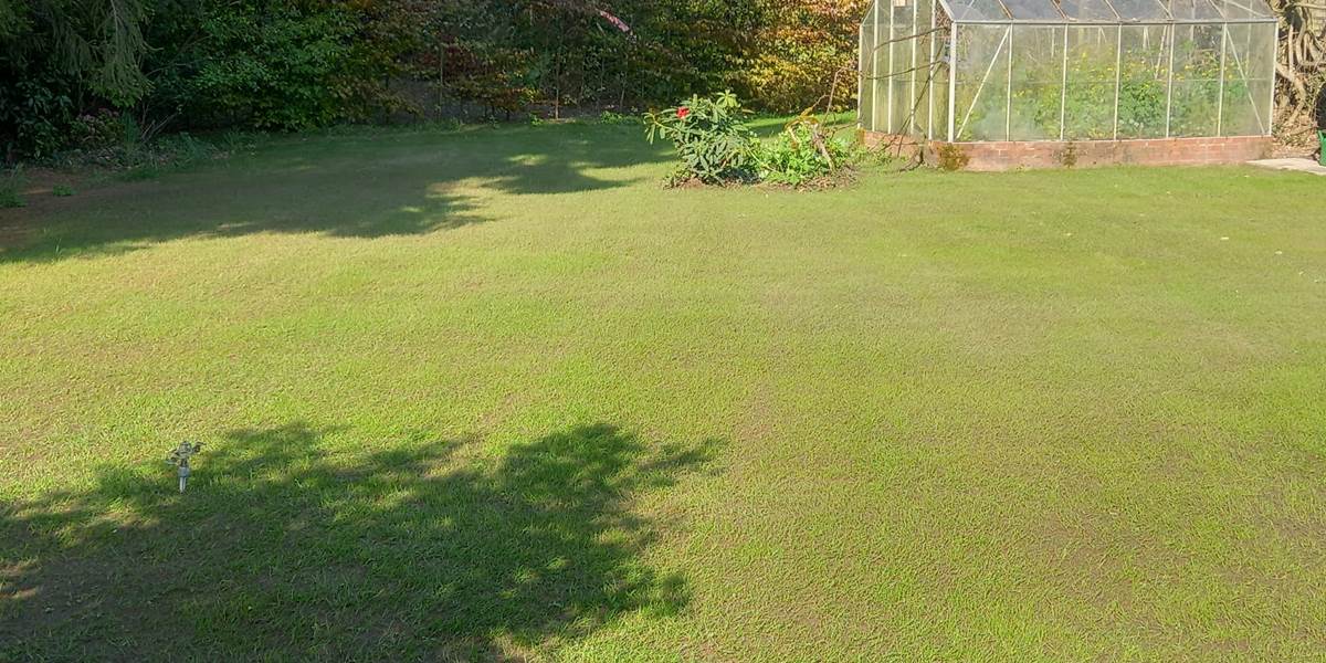 jardin