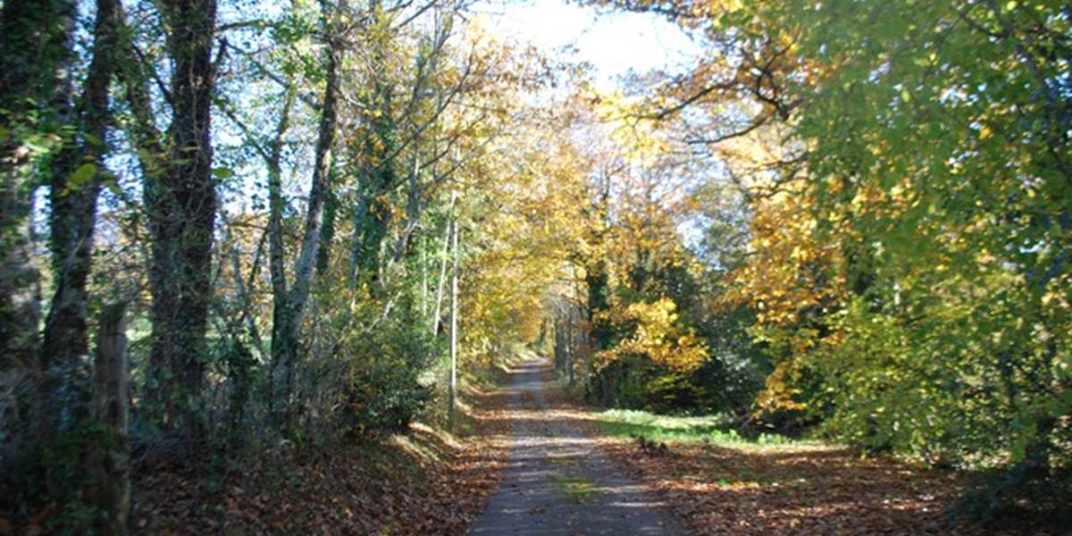 balade en novembre au départ du Ranch des Lacs Hotel à la campagne