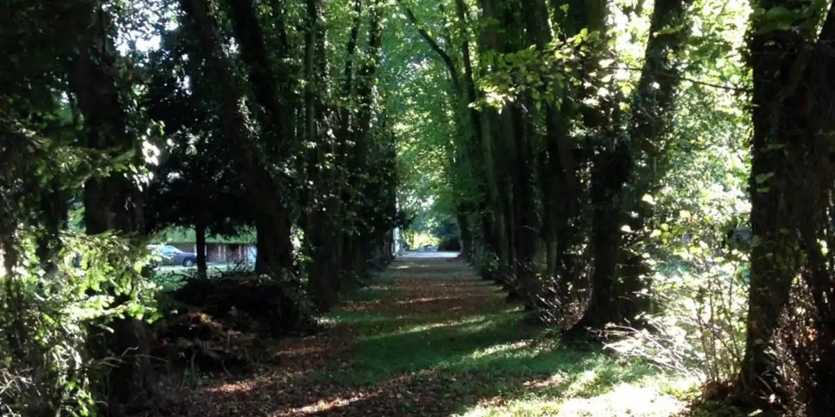 Une allée du Château de Géraudot  - copie