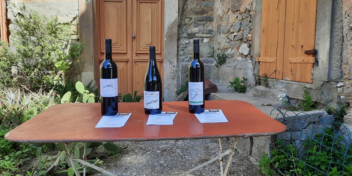 Dégustation des vins du Domaine Les Tuileries
