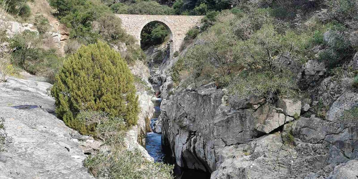 Minerve un de nos coups de cœur
