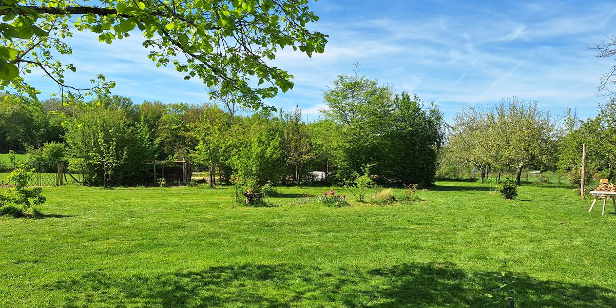 Chevêche Jardin  2   20240413_151439
