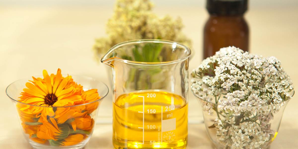 plant-flower-food-herb-produce-beaker-571137-pxhere