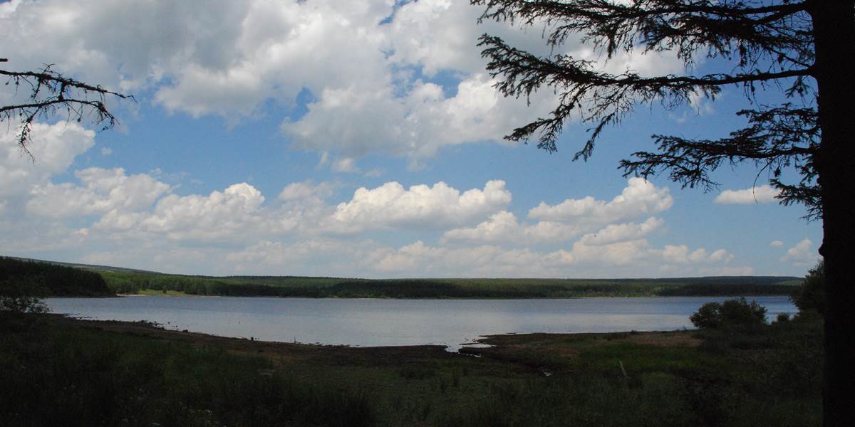 Une vue du lac de Charpal