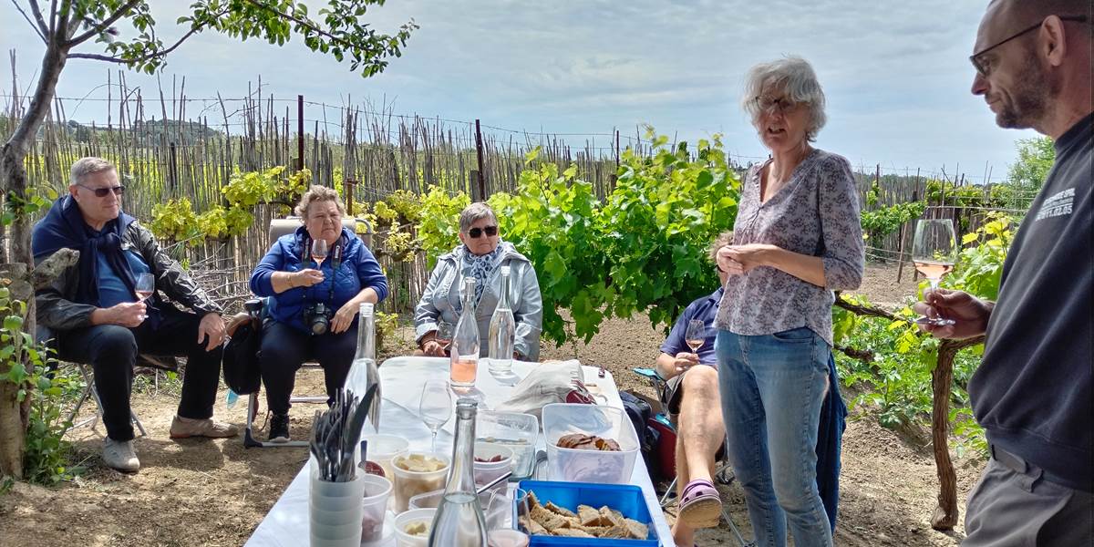 Dégustation des vins du domaine La Tasque au sein du potager Le Coq du Nord-Mailhac