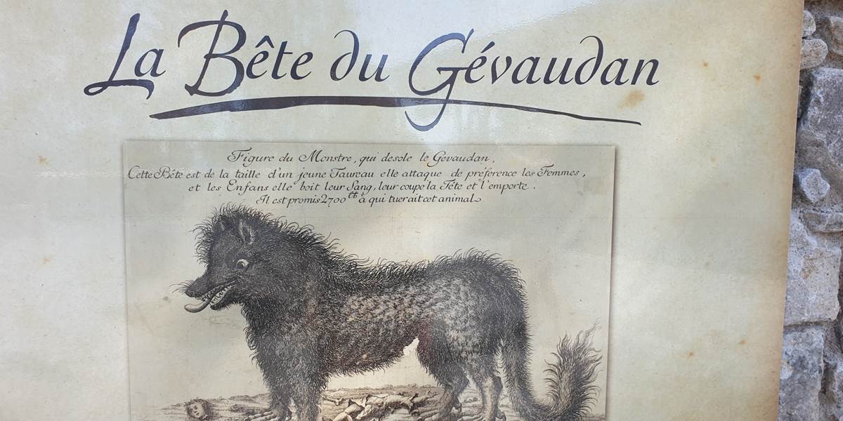 Sans titre