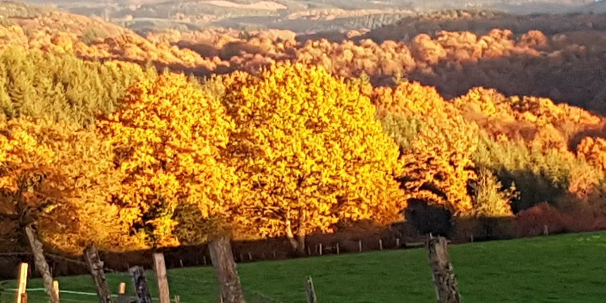 lumières d'automne couché de soleil Le Ranch des Lacs  hotel de charme