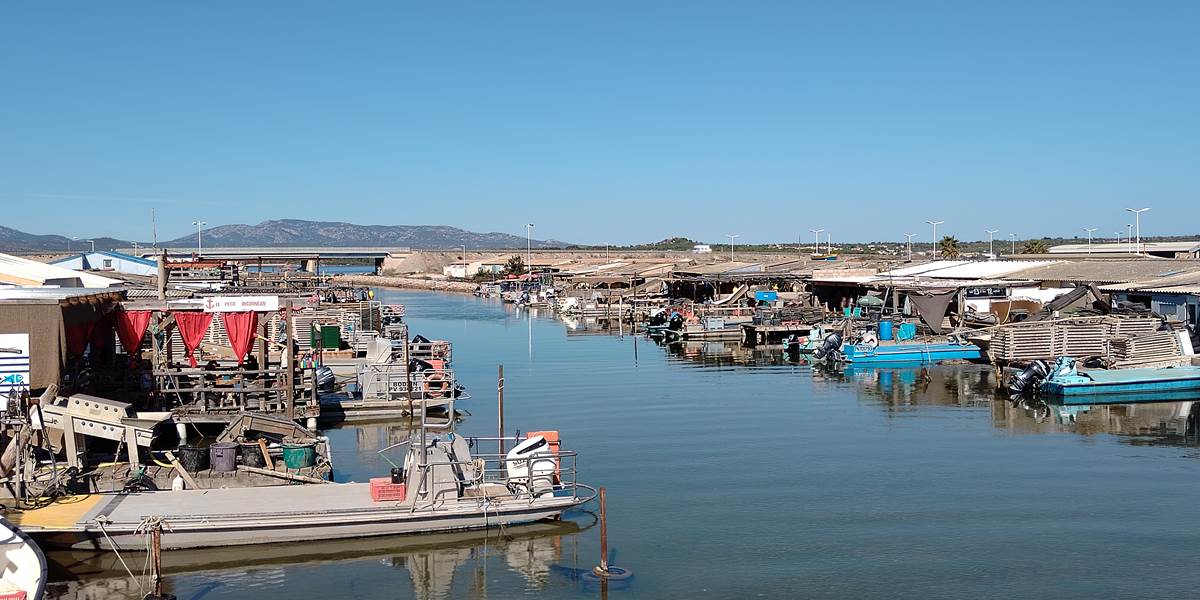 Leucate
